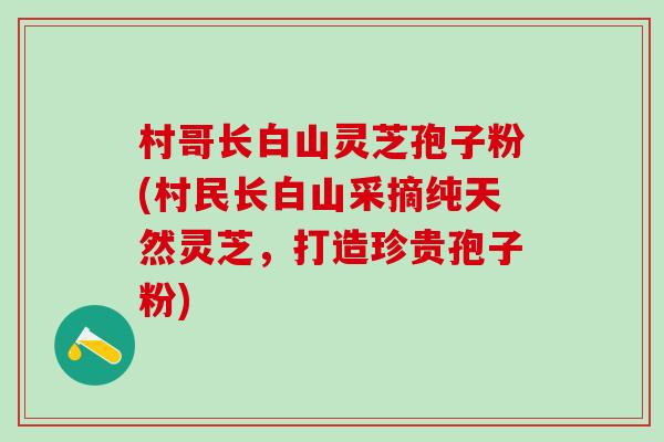 村哥长白山灵芝孢子粉(村民长白山采摘纯天然灵芝，打造珍贵孢子粉)