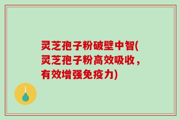 灵芝孢子粉破壁中智(灵芝孢子粉高效吸收,有效增强免疫力) 灵芝孢子粉破壁中智(灵芝孢子粉高效吸收,有效增强免疫力)