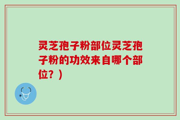 灵芝孢子粉部位灵芝孢子粉的功效来自哪个部位？)