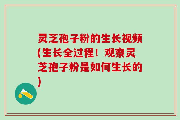 灵芝孢子粉的生长视频(生长全过程!观察灵芝孢子粉是如何生长的) 灵芝孢子粉的生长视频(生长全过程!观察灵芝孢子粉是如何生长的)