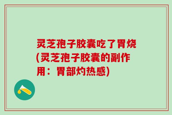 灵芝孢子胶囊吃了胃烧(灵芝孢子胶囊的副作用：胃部灼热感)
