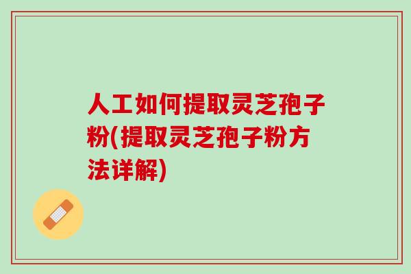 人工如何提取灵芝孢子粉(提取灵芝孢子粉方法详解)
