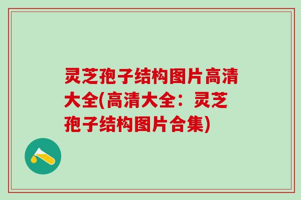 灵芝孢子结构图片高清大全(高清大全：灵芝孢子结构图片合集)