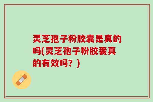 灵芝孢子粉胶囊是真的吗(灵芝孢子粉胶囊真的有效吗？)