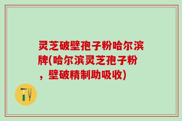 灵芝破壁孢子粉哈尔滨牌(哈尔滨灵芝孢子粉，壁破精制助吸收)