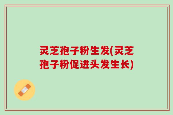 灵芝孢子粉生发(灵芝孢子粉促进头发生长) 灵芝孢子粉生发(灵芝孢子粉促进头发生长)