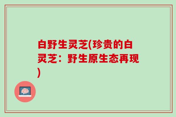 白野生灵芝(珍贵的白灵芝：野生原生态再现)