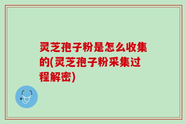 灵芝孢子粉是怎么收集的(灵芝孢子粉采集过程解密)