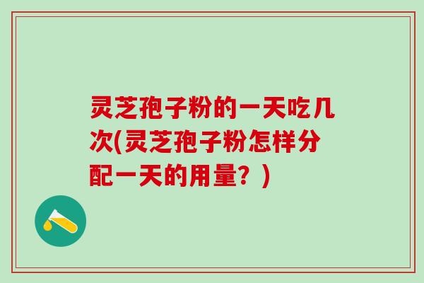 灵芝孢子粉的一天吃几次(灵芝孢子粉怎样分配一天的用量？)