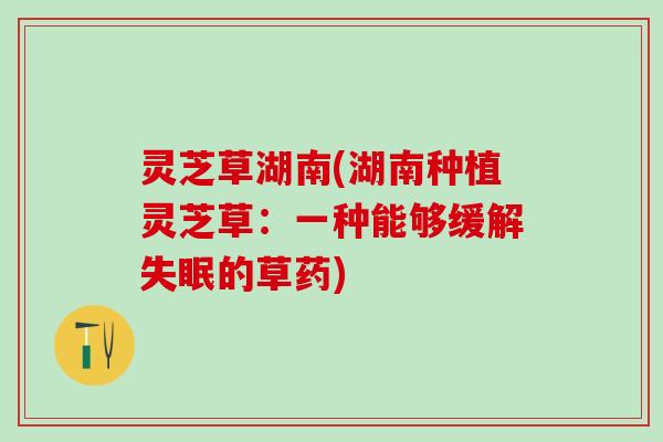 灵芝草湖南(湖南种植灵芝草：一种能够缓解失眠的草药)