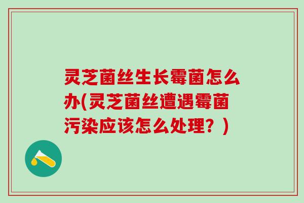 灵芝菌丝生长霉菌怎么办(灵芝菌丝遭遇霉菌污染应该怎么处理？)