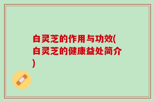 白灵芝的作用与功效(白灵芝的健康益处简介)