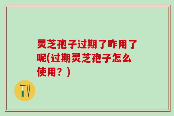 灵芝孢子过期了咋用了呢(过期灵芝孢子怎么使用？)