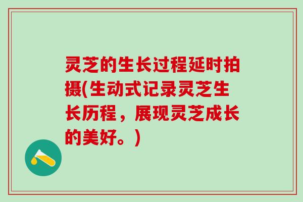 灵芝的生长过程延时拍摄(生动式记录灵芝生长历程，展现灵芝成长的美好。)