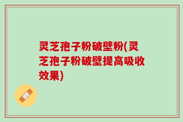 灵芝孢子粉破壁粉(灵芝孢子粉破壁提高吸收效果)