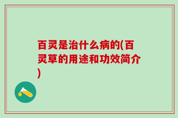 百灵是治什么病的(百灵草的用途和功效简介)