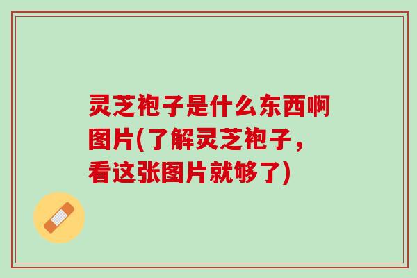 灵芝袍子是什么东西啊图片(了解灵芝袍子,看这张图片就够了) 灵芝袍子是什么东西啊图片(了解灵芝袍子,看这张图片就够了)