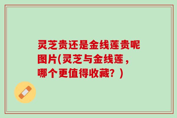 灵芝贵还是金线莲贵呢图片(灵芝与金线莲，哪个更值得收藏？)