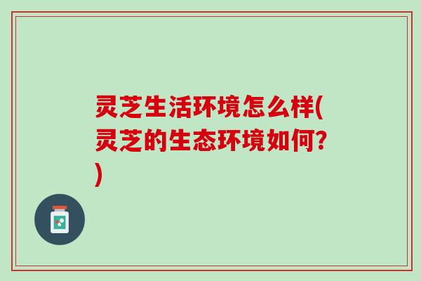 灵芝生活环境怎么样(灵芝的生态环境如何?) 灵芝生活环境怎么样(灵芝的生态环境如何?)