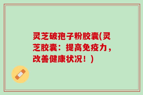 灵芝破孢子粉胶囊(灵芝胶囊：提高免疫力，改善健康状况！)