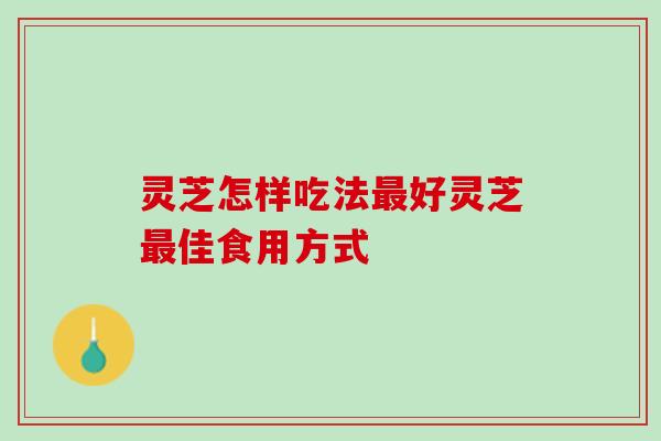 灵芝怎样吃法最好灵芝最佳食用方式