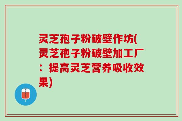 灵芝孢子粉破壁作坊(灵芝孢子粉破壁加工厂：提高灵芝营养吸收效果)