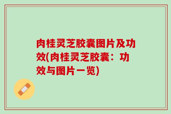 肉桂灵芝胶囊图片及功效(肉桂灵芝胶囊：功效与图片一览)