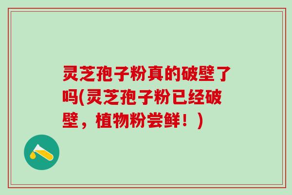 灵芝孢子粉真的破壁了吗(灵芝孢子粉已经破壁，植物粉尝鲜！)
