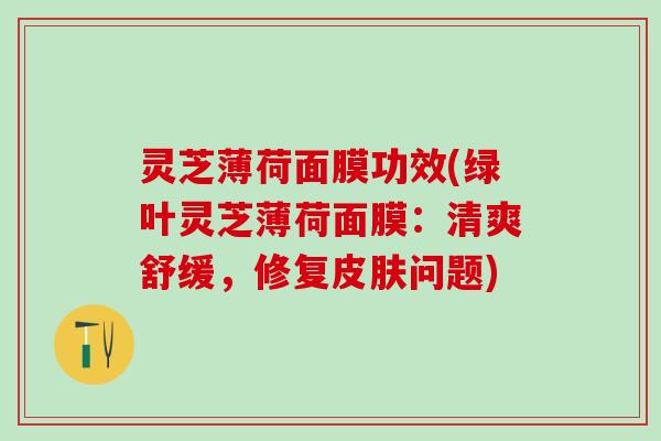 灵芝薄荷面膜功效(绿叶灵芝薄荷面膜：清爽舒缓，修复皮肤问题)
