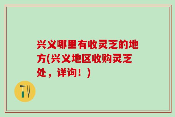 兴义哪里有收灵芝的地方(兴义地区收购灵芝处，详询！)