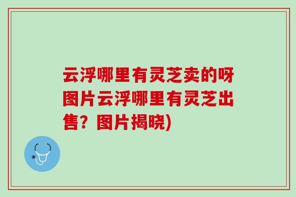 云浮哪里有灵芝卖的呀图片云浮哪里有灵芝出售？图片揭晓)