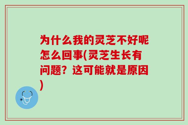 为什么我的灵芝不好呢怎么回事(灵芝生长有问题？这可能就是原因)