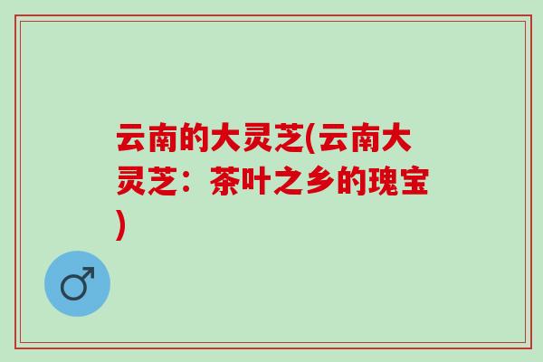 云南的大灵芝(云南大灵芝：茶叶之乡的瑰宝)