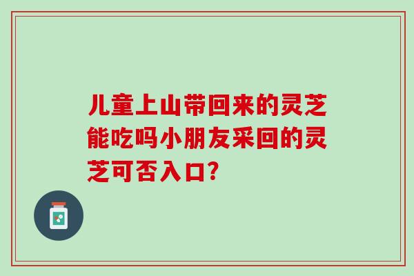 儿童上山带回来的灵芝能吃吗小朋友采回的灵芝可否入口? 儿童上山带回来的灵芝能吃吗小朋友采回的灵芝可否入口?