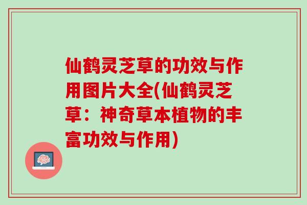 仙鹤灵芝草的功效与作用图片大全(仙鹤灵芝草：神奇草本植物的丰富功效与作用)
