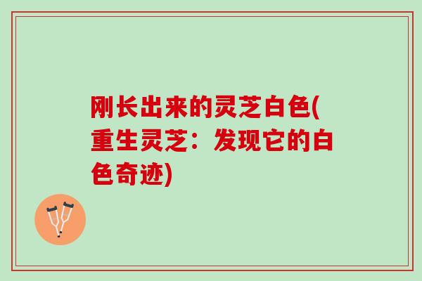 刚长出来的灵芝白色(重生灵芝:发现它的白色奇迹) 刚长出来的灵芝白色(重生灵芝:发现它的白色奇迹)