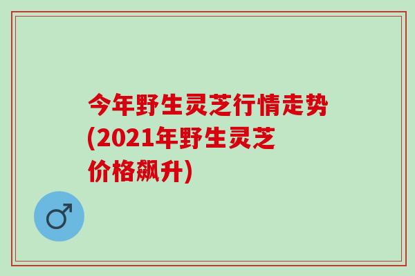 今年野生灵芝行情走势(2021年野生灵芝价格飙升) 今年野生灵芝行情走势(2021年野生灵芝价格飙升)