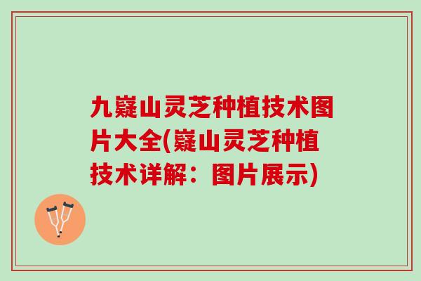 九嶷山灵芝种植技术图片大全(嶷山灵芝种植技术详解:图片展示) 九嶷山灵芝种植技术图片大全(嶷山灵芝种植技术详解:图片展示)