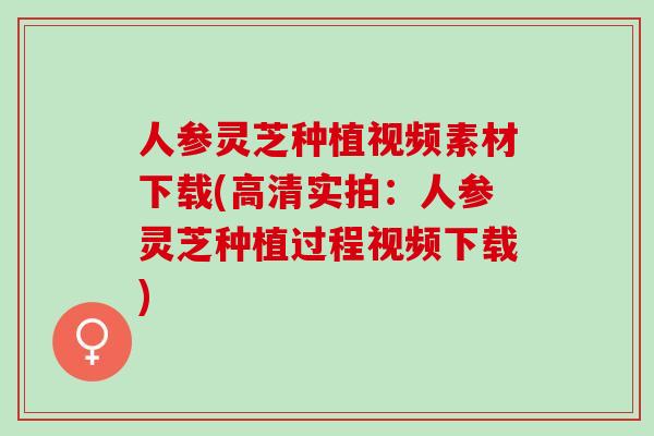 人参灵芝种植视频素材下载(高清实拍：人参灵芝种植过程视频下载)