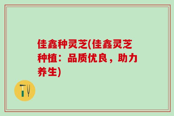 佳鑫种灵芝(佳鑫灵芝种植：品质优良，助力养生)