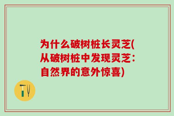 为什么破树桩长灵芝(从破树桩中发现灵芝：自然界的意外惊喜)