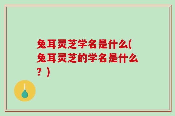 兔耳灵芝学名是什么(兔耳灵芝的学名是什么？)