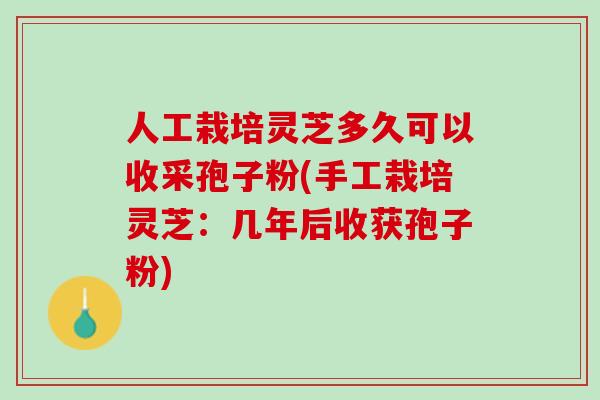 人工栽培灵芝多久可以收采孢子粉(手工栽培灵芝：几年后收获孢子粉)