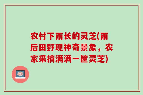 农村下雨长的灵芝(雨后田野现神奇景象,农家采摘满满一筐灵芝) 农村下雨长的灵芝(雨后田野现神奇景象,农家采摘满满一筐灵芝)