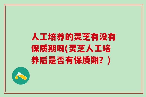 人工培养的灵芝有没有保质期呀(灵芝人工培养后是否有保质期？)