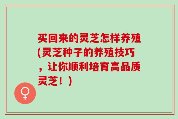 买回来的灵芝怎样养殖(灵芝种子的养殖技巧，让你顺利培育高品质灵芝！)