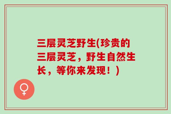 三层灵芝野生(珍贵的三层灵芝，野生自然生长，等你来发现！)