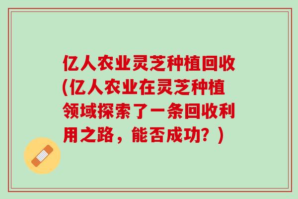 亿人农业灵芝种植回收(亿人农业在灵芝种植领域探索了一条回收利用之路,能否成功?) 亿人农业灵芝种植回收(亿人农业在灵芝种植领域探索了一条回收利用之路,能否成功?)