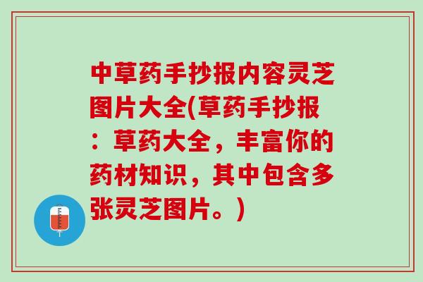 中草药手抄报内容灵芝图片大全(草药手抄报：草药大全，丰富你的药材知识，其中包含多张灵芝图片。)