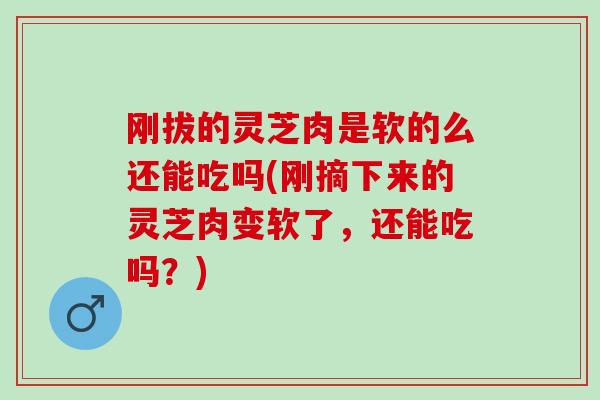 刚拔的灵芝肉是软的么还能吃吗(刚摘下来的灵芝肉变软了，还能吃吗？)